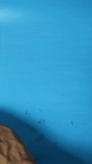 diy-experience-3-rs.gif